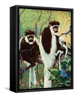 Monkeys - Child Life-Jack Murray-Framed Stretched Canvas