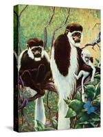 Monkeys - Child Life-Jack Murray-Stretched Canvas