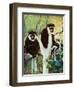 Monkeys - Child Life-Jack Murray-Framed Giclee Print