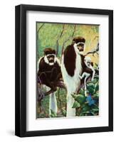 Monkeys - Child Life-Jack Murray-Framed Giclee Print