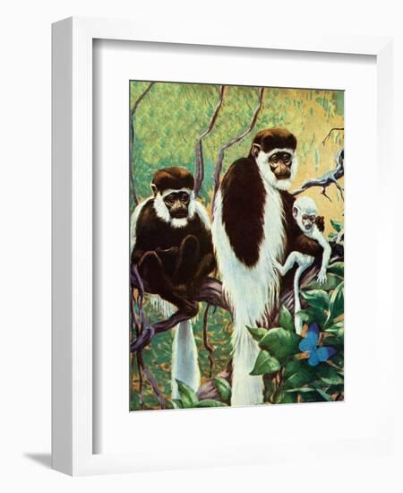 Monkeys - Child Life-Jack Murray-Framed Giclee Print