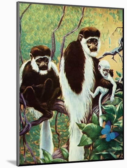 Monkeys - Child Life-Jack Murray-Mounted Giclee Print