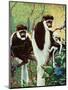 Monkeys - Child Life-Jack Murray-Mounted Giclee Print