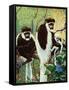 Monkeys - Child Life-Jack Murray-Framed Stretched Canvas