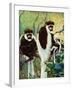 Monkeys - Child Life-Jack Murray-Framed Giclee Print