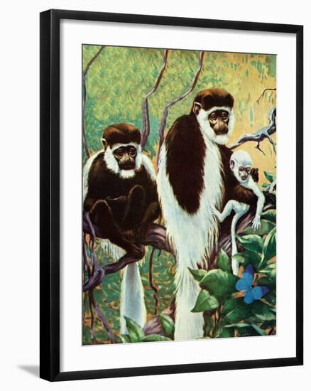 Monkeys - Child Life-Jack Murray-Framed Giclee Print