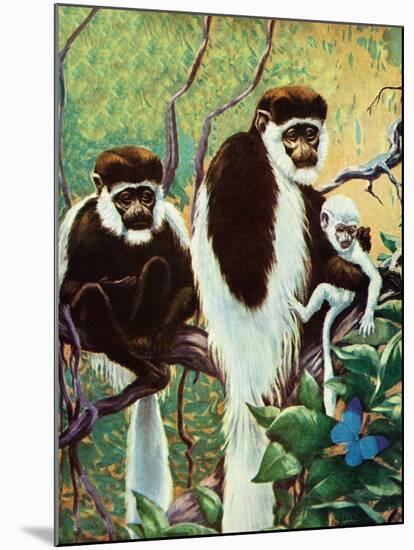 Monkeys - Child Life-Jack Murray-Mounted Giclee Print