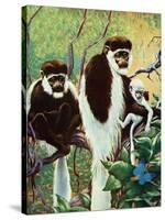 Monkeys - Child Life-Jack Murray-Stretched Canvas