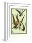 Monkeys Flew Away with Dorothy-William W. Denslow-Framed Art Print
