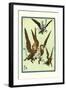 Monkeys Flew Away with Dorothy-William W. Denslow-Framed Art Print