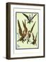 Monkeys Flew Away with Dorothy-William W. Denslow-Framed Art Print