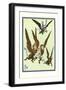 Monkeys Flew Away with Dorothy-William W. Denslow-Framed Art Print