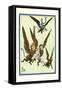 Monkeys Flew Away with Dorothy-William W. Denslow-Framed Stretched Canvas