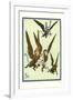 Monkeys Flew Away with Dorothy-William W. Denslow-Framed Art Print