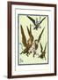 Monkeys Flew Away with Dorothy-William W. Denslow-Framed Art Print