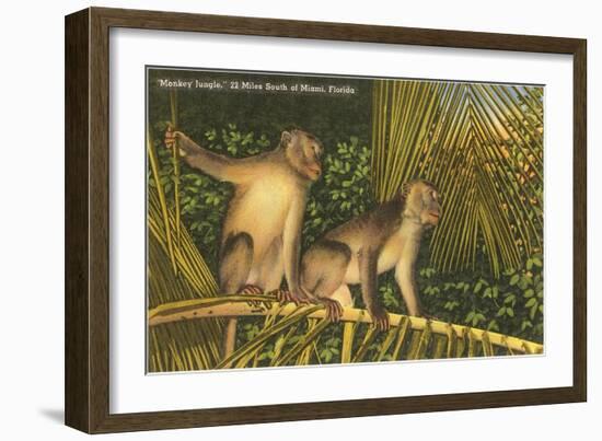 Monkeys, Florida-null-Framed Art Print