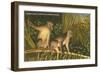 Monkeys, Florida-null-Framed Art Print