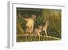 Monkeys, Florida-null-Framed Art Print