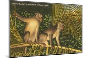 Monkeys, Florida-null-Mounted Art Print