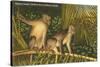 Monkeys, Florida-null-Stretched Canvas