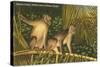 Monkeys, Florida-null-Stretched Canvas