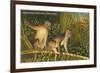 Monkeys, Florida-null-Framed Art Print