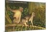 Monkeys, Florida-null-Mounted Art Print