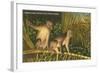 Monkeys, Florida-null-Framed Art Print