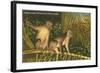 Monkeys, Florida-null-Framed Art Print