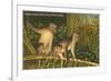 Monkeys, Florida-null-Framed Premium Giclee Print