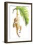 Monkeys in the Jungle I-Patricia Pinto-Framed Art Print