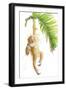 Monkeys in the Jungle I-Patricia Pinto-Framed Art Print