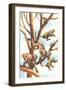 Monkeys in Trees-null-Framed Art Print