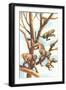 Monkeys in Trees-null-Framed Art Print