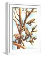 Monkeys in Trees-null-Framed Art Print