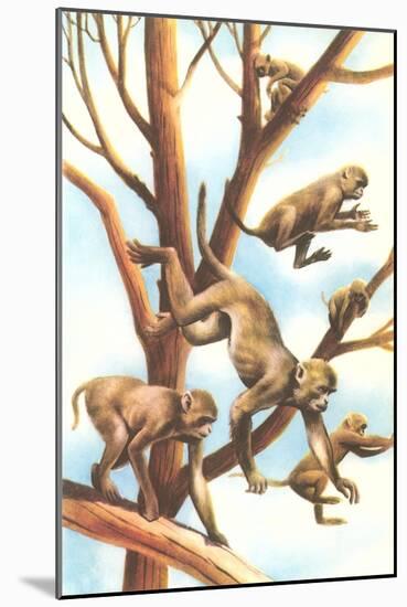 Monkeys in Trees-null-Mounted Art Print