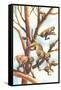 Monkeys in Trees-null-Framed Stretched Canvas