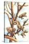 Monkeys in Trees-null-Stretched Canvas