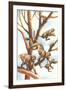 Monkeys in Trees-null-Framed Art Print