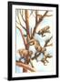 Monkeys in Trees-null-Framed Art Print