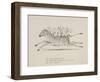 Monkeys Riding a Zebra, Nonsense Botany Animals and Other Poems Written and Drawn by Edward Lear-Edward Lear-Framed Giclee Print