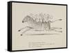 Monkeys Riding a Zebra, Nonsense Botany Animals and Other Poems Written and Drawn by Edward Lear-Edward Lear-Framed Stretched Canvas