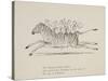 Monkeys Riding a Zebra, Nonsense Botany Animals and Other Poems Written and Drawn by Edward Lear-Edward Lear-Stretched Canvas