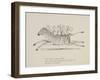 Monkeys Riding a Zebra, Nonsense Botany Animals and Other Poems Written and Drawn by Edward Lear-Edward Lear-Framed Giclee Print