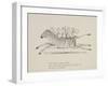 Monkeys Riding a Zebra, Nonsense Botany Animals and Other Poems Written and Drawn by Edward Lear-Edward Lear-Framed Giclee Print