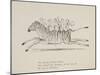 Monkeys Riding a Zebra, Nonsense Botany Animals and Other Poems Written and Drawn by Edward Lear-Edward Lear-Mounted Giclee Print