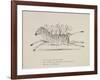 Monkeys Riding a Zebra, Nonsense Botany Animals and Other Poems Written and Drawn by Edward Lear-Edward Lear-Framed Giclee Print