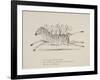 Monkeys Riding a Zebra, Nonsense Botany Animals and Other Poems Written and Drawn by Edward Lear-Edward Lear-Framed Giclee Print