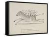 Monkeys Riding a Zebra, Nonsense Botany Animals and Other Poems Written and Drawn by Edward Lear-Edward Lear-Framed Stretched Canvas