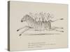 Monkeys Riding a Zebra, Nonsense Botany Animals and Other Poems Written and Drawn by Edward Lear-Edward Lear-Stretched Canvas